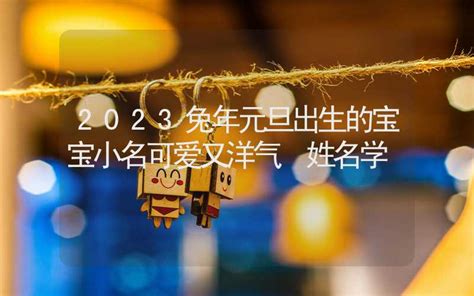 2023年元旦出生的孩子起名参考生辰八字_2023年元旦出生的属什么生肖,第3张